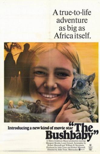 The Bushbaby (1969)