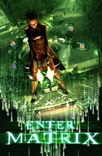 Making 'Enter the Matrix' (2003)