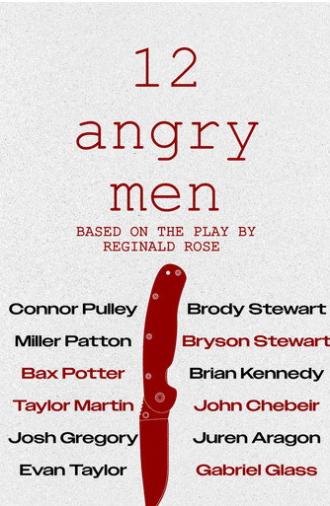 12 Angry Men (2026)
