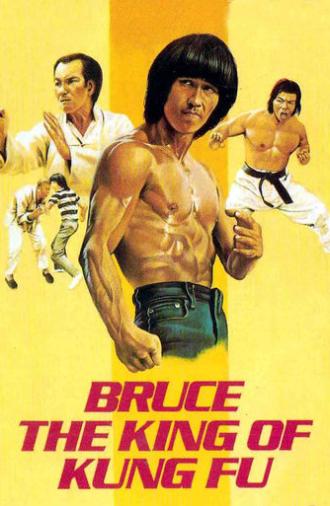 Bruce, King of Kung Fu (1980)