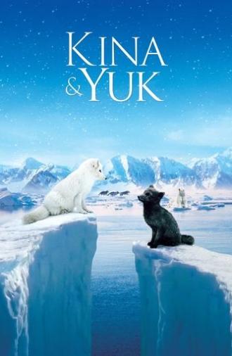 Kina & Yuk (2023)