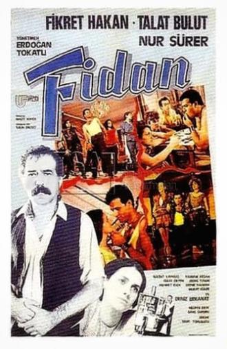 Fidan (1984)