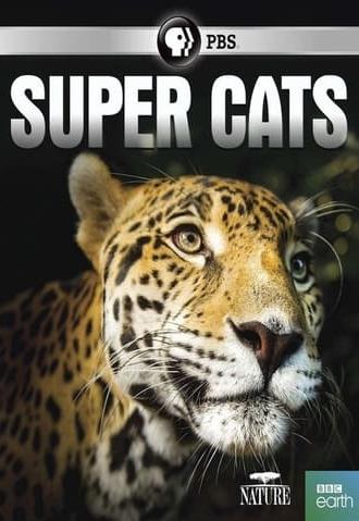 Super Cats (2018)