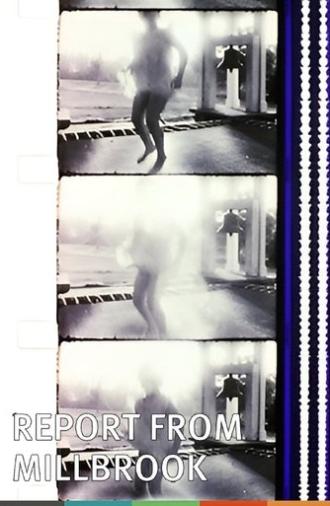Report from Millbrook (1966)