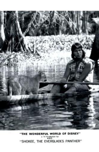 Shokee, the Everglades Panther (1974)