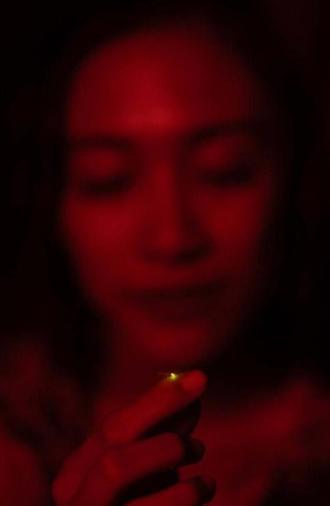 Return of the Fireflies (2025)