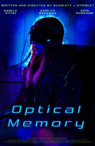 Optical Memory (2026)