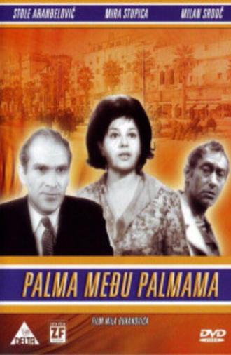 Palm Tree Among Palm Trees (1967)