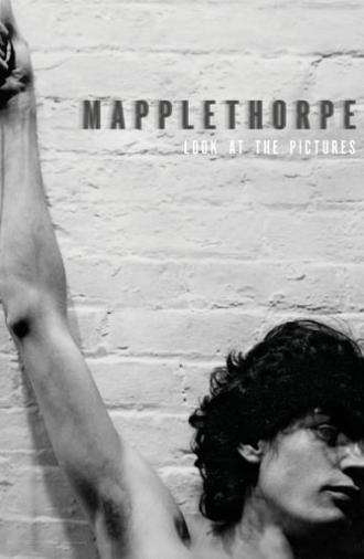 Mapplethorpe: Look at the Pictures (2016)