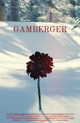 Gamberger (2017)