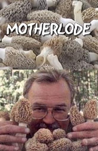 Motherlode (2002)