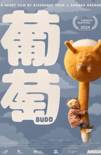 Budo (2024)