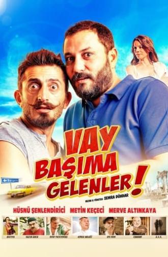 Vay Başıma Gelenler! (2013)