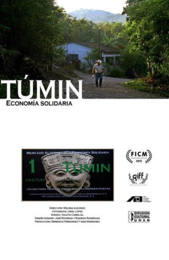 Tumin. Solidary Economy (2013)