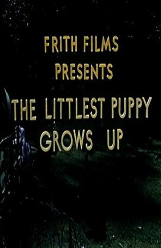 The Littlest Puppy Grows Up (1954)