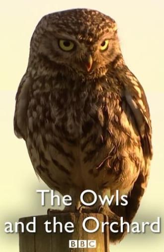 The Owls and the Orchard (2005)