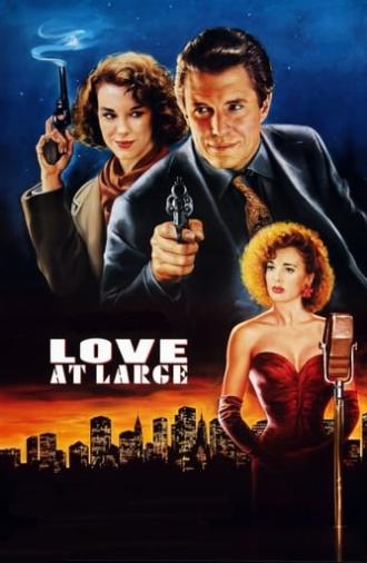 Love at Large (1990)