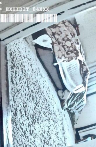 _EXHIBIT_84xxx_ (2018)