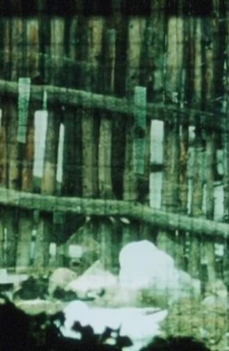The Loom (1986)