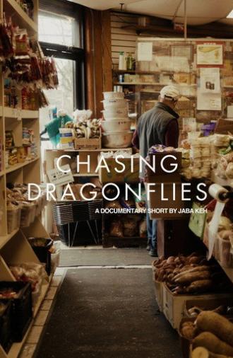 Chasing Dragonflies (2026)