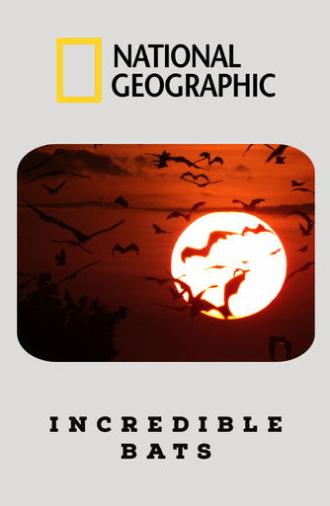 Incredible Bats (2019)