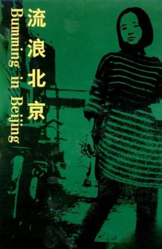 Bumming in Beijing: The Last Dreamers (1990)