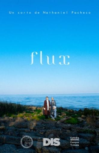 Flux (2022)