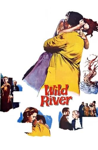 Wild River (1960)