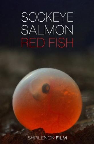 Sockeye Salmon. Red Fish (2020)