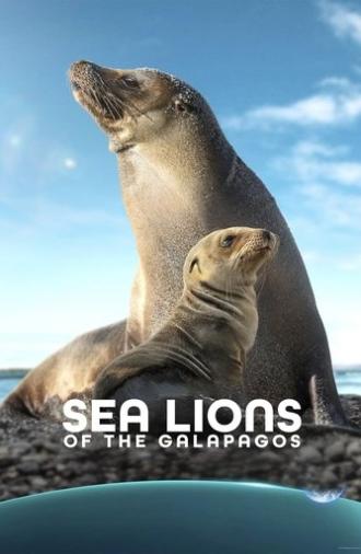 Sea Lions of the Galapagos (2025)
