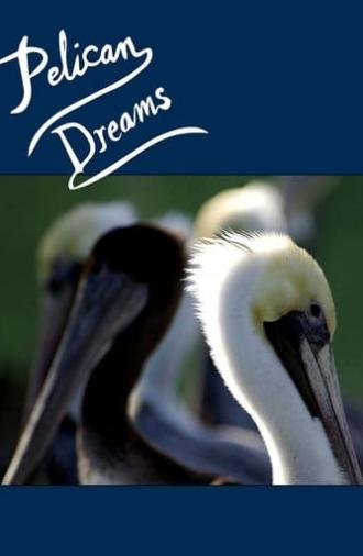 Pelican Dreams (2014)