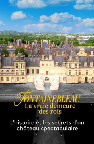 Fontainebleau, la vraie demeure des rois (2023)