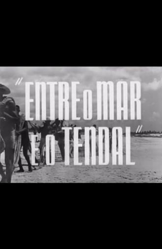 Between the Sea and the Fish Line (1953)