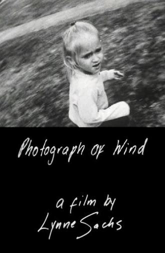 Photograph of Wind (2001)