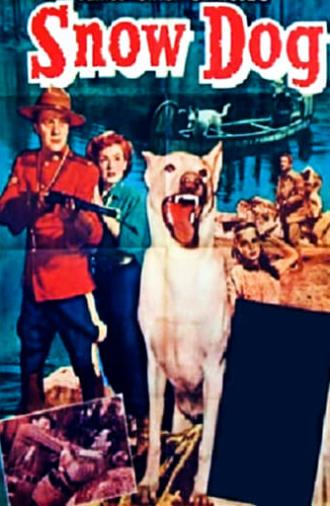 Snow Dog (1950)