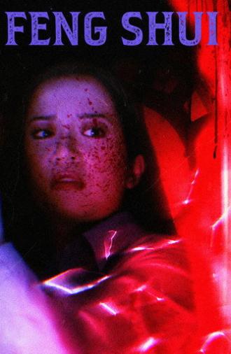 Feng Shui (2004)