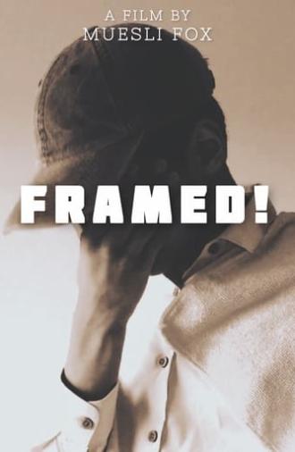 Framed! (2021)