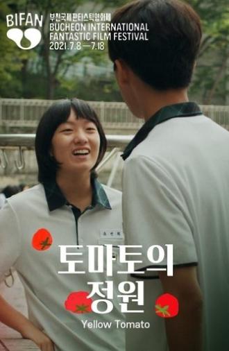Yellow Tomato (2020)