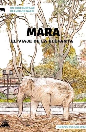 Mara, el viaje de la elefanta (2020)