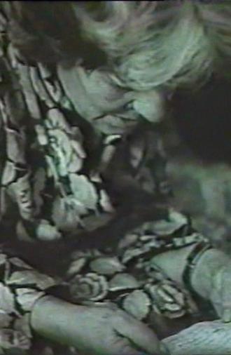 Typhoon Tamara (1986)