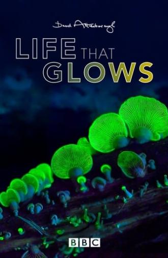 Attenborough's Life That Glows (2016)