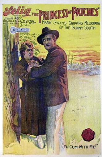 The Princess of Patches (1917)