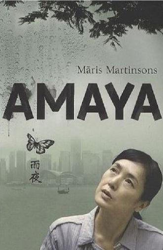 Hong Kong Confidential (2010)