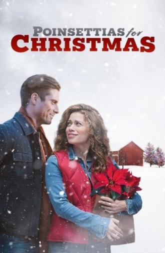 Poinsettias for Christmas (2018)