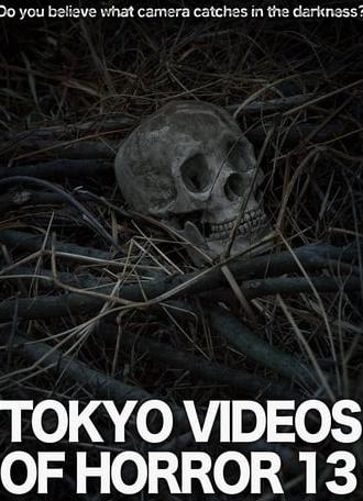 Tokyo Videos of Horror 13 (2015)