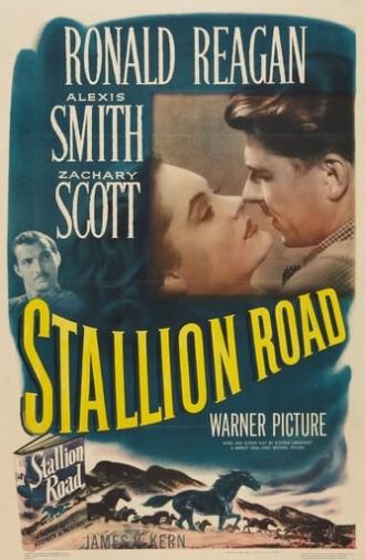 Stallion Road (1947)