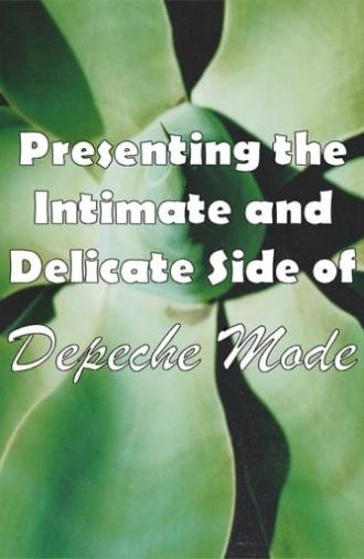 Depeche Mode: 1999–2002 “Presenting the Intimate and Delicate side of Depeche Mode” (2007)