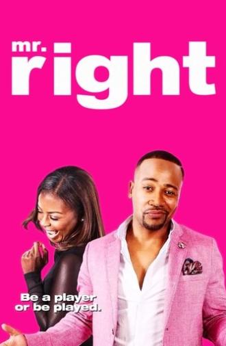 Mr. Right (2015)