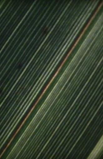 Passageways (2007)