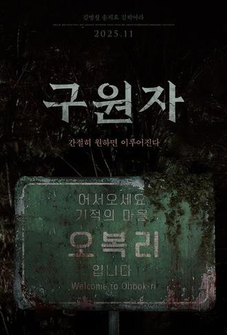 The Favor (2025)